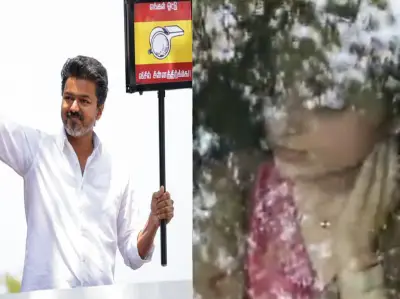 Actor Trisha Krishnan visits Vijay's residence as TVK surges in Tamil Nadu polls