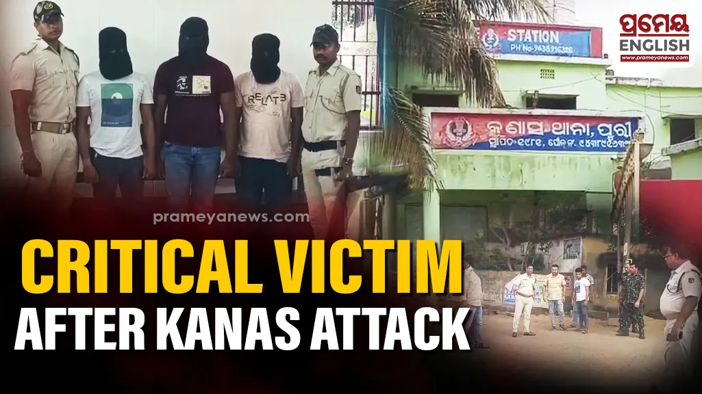 Kanas brutal attack: 4 arrested, main accused still absconding; victim battles for life
