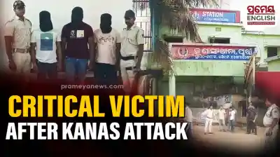 Kanas brutal attack: 4 arrested, main accused still absconding; victim battles for life
