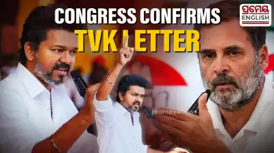 Congress acknowledges receiving TVK letter amidst alliance talks in Tamil Nadu