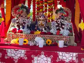 ISKCON holds Rath Yatra in Canada despite objections from Odia Community
