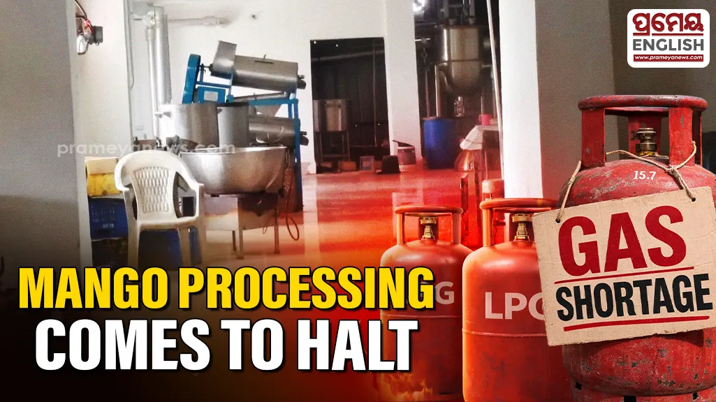 Gas shortage halts jackfruit & mango processing unit in Kandhamal, affecting farmers & workers

