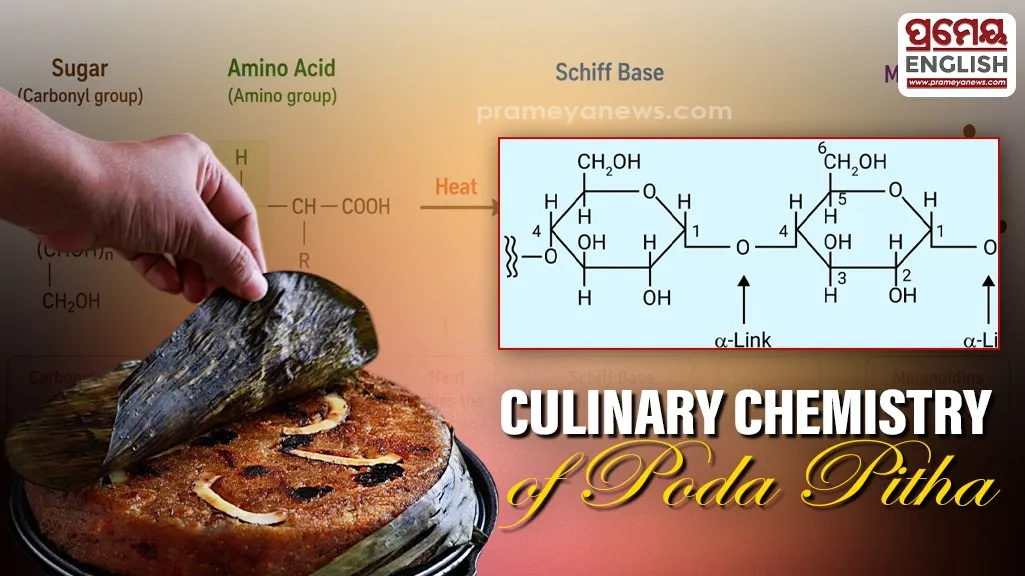 Culinary Chemistry Behind Odishas Traditional Poda Pitha