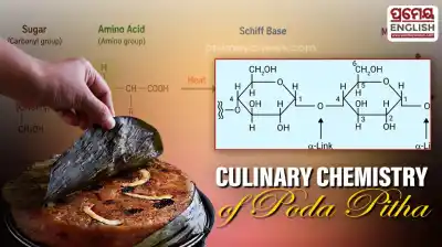 Culinary Chemistry Behind Odishas Traditional Poda Pitha