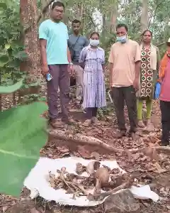 Human skeleton recovered from forest identified as missing man in Koraput