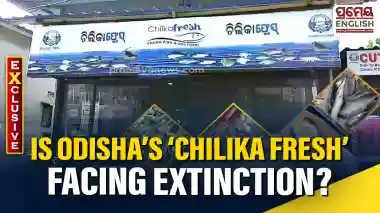Is Odisha’s ‘Chilika Fresh’ headed for extinction? Privatisation push threatens state-owned fish brand
