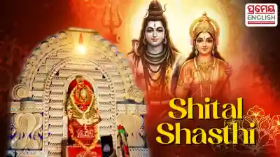 Divine wedding of Lord Shiva and Goddess Parvati celebrated with grandeur at Sambalpur Shital Shasthi