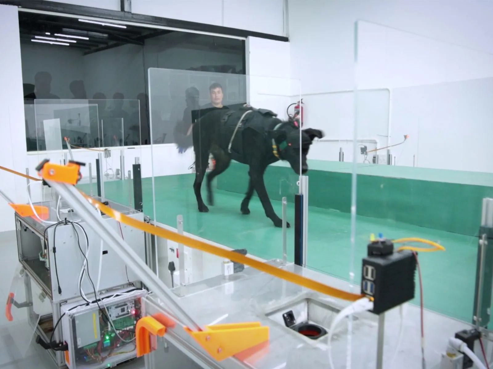 Bengaluru start-up uses dogs and AI to detect cancer