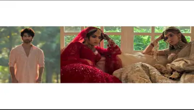 'Cocktail 2' to feature Shahid, Rashmika, Kriti Sanon's chaotic love triangle; Trailer out