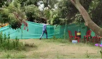 Elephant carcass recovered from farm house: Hindol Forester suspended