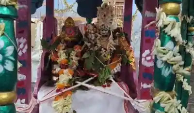 Over 50,000 devotees attend Grand Shiva-Parvati wedding festival at Aradi Peetha
