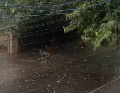 IMD Warns of Thunderstorms and Heavy Rain Across Odisha on June 22