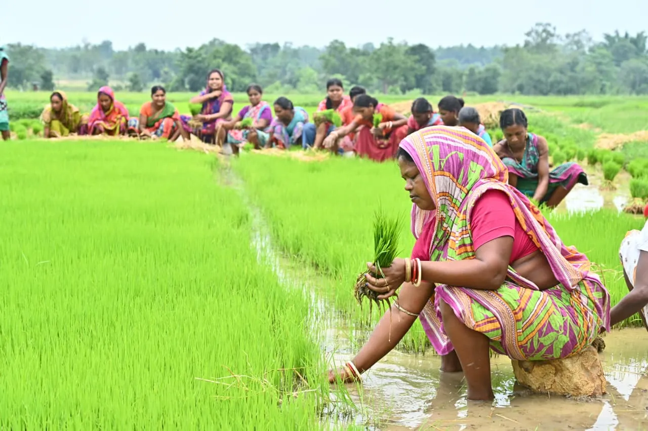 Deputy CM reviews Kharif preparedness and agricultural activities in Keonjhar