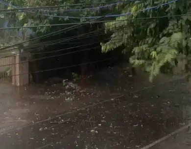 IMD Warns of Thunderstorms and Heavy Rain Across Odisha on June 22