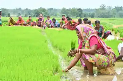 Deputy CM reviews Kharif preparedness and agricultural activities in Keonjhar