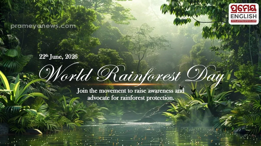 World Rainforest Day 2026 demands urgent global action as critical jungle habitats shrink rapidly
