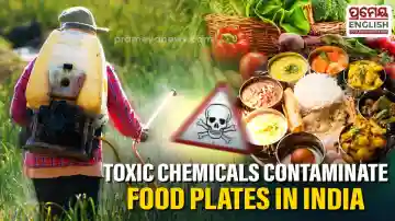Toxic chemicals banned across Europe continue to contaminate food plates throughout India