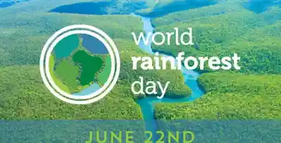 World Rainforest Day 2026 demands urgent global action as critical jungle habitats shrink rapidly