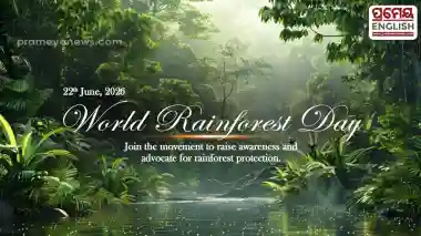 World Rainforest Day 2026 demands urgent global action as critical jungle habitats shrink rapidly