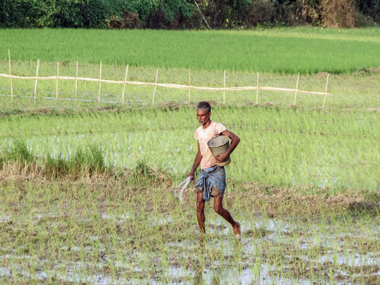 Fertiliser subsidy bill may rise by up to Rs 70,000 crore if crude averages USD 80-90/bbl in FY27: BoB Report
