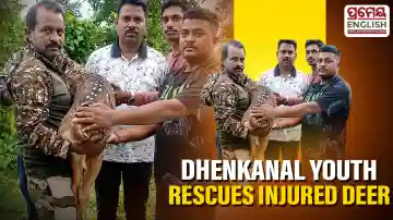 Youth rescues injured deer from stray dogs, hands it over to forest department in Dhenkanal
