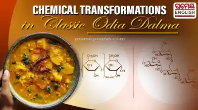 Science behind Traditional Harada Dali Dalma