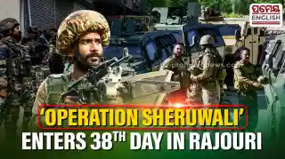 J-K: 'Operation Sheruwali' enters 38th day in Rajouri, search and surveillance continues