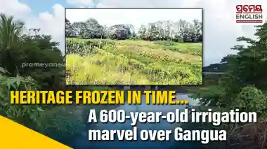 Odisha's first barrage, Malia Bandha, lies buried under weeds as engineering heritage fades