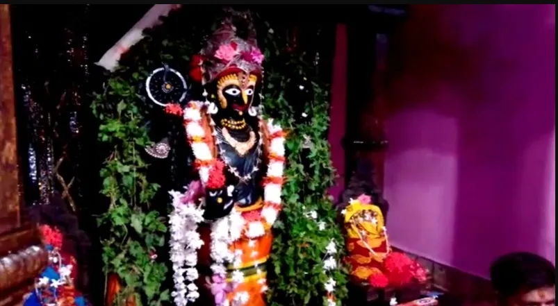 Anabasara Darshan begins at Alarnath: Devotees flock to seek the Holy Trinity during Lord Jagannath's seclusion