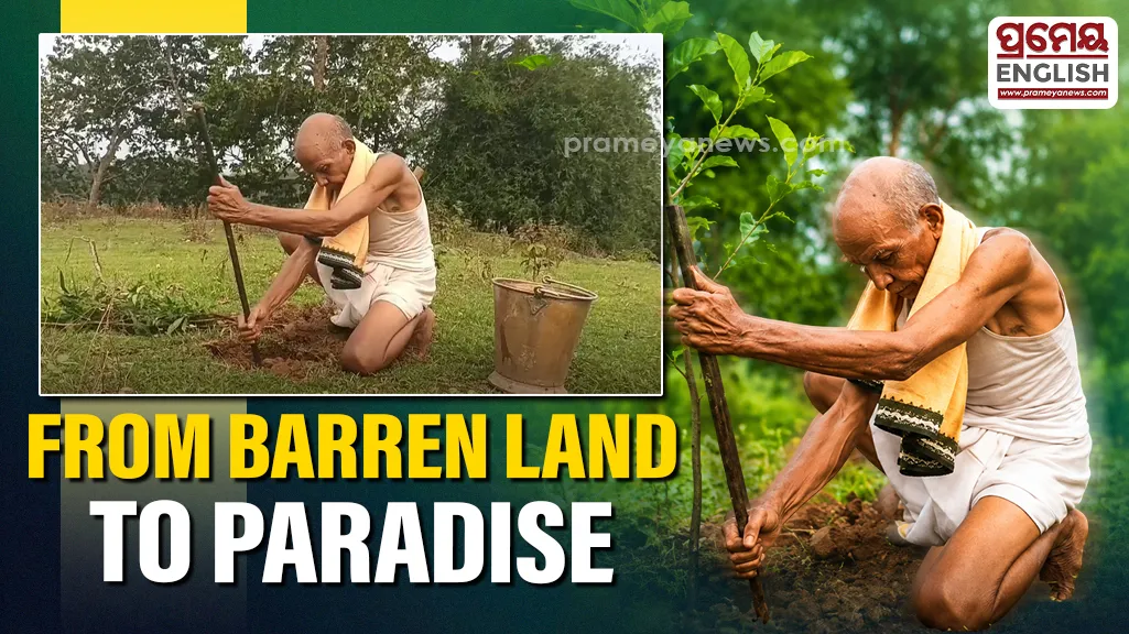 Meet ‘Tree Father’ who turned barren land into a green paradise