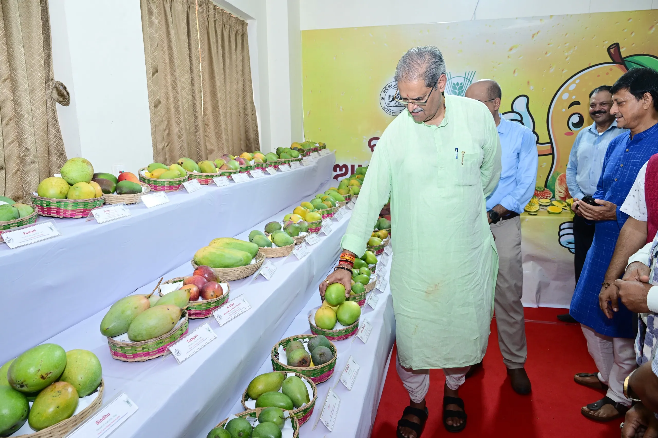 Bhubaneswar hosts state-level mango festival; Over 2.5 lakh hectares dedicated to mango cultivation in Odisha