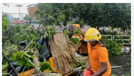 Kalbaisakhi Storm Swept Across Bhubaneswar, Disrupts Normal Life 