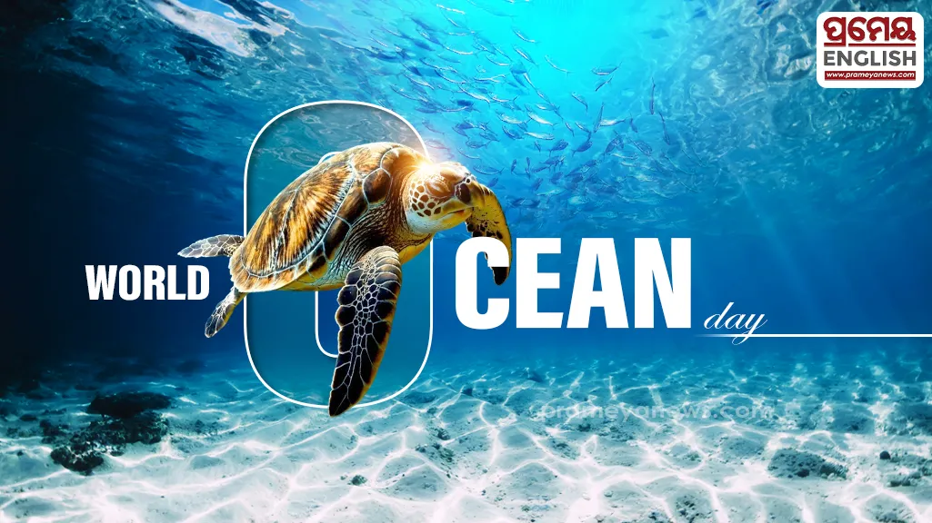 World Ocean Day: Growing pollution threatens Paradip coastline & marine ecosystem