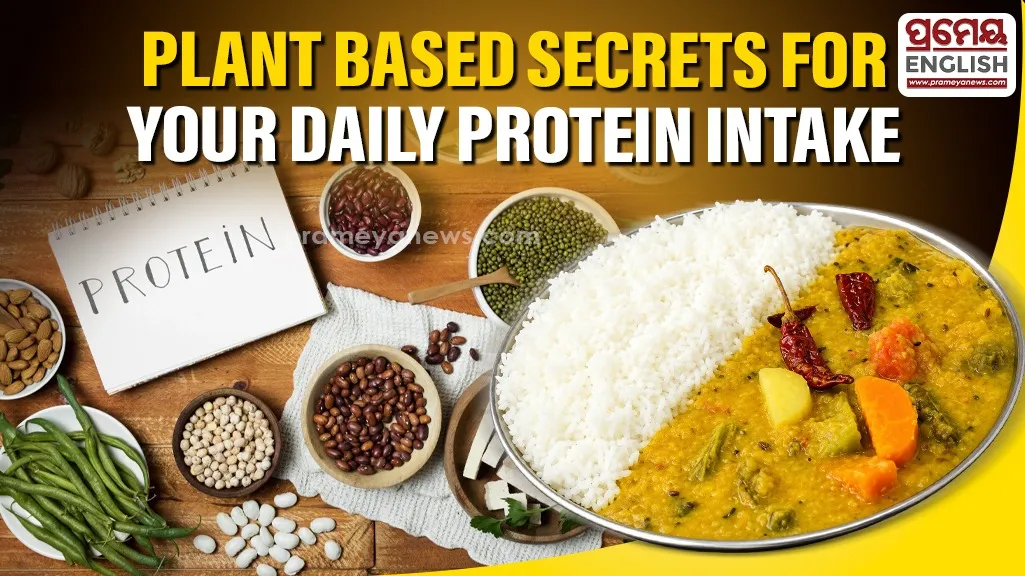Hit 120 Grams of Daily Protein Using Everyday Plant Foods without Any Artificial Supplements