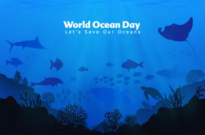 World Ocean Day: Growing pollution threatens Paradip coastline & marine ecosystem