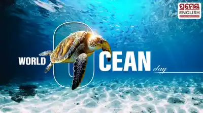 World Ocean Day: Growing pollution threatens Paradip coastline & marine ecosystem