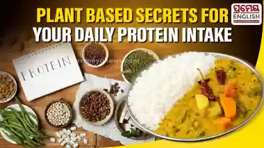 Hit 120 Grams of Daily Protein Using Everyday Plant Foods without Any Artificial Supplements