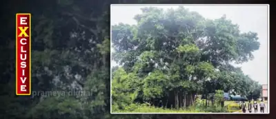 200-year-old Banyan tree at Ekamra College becomes a haven for birds & wildlife