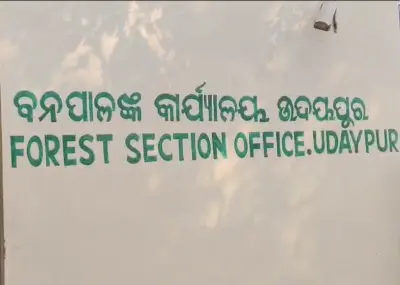 297 live birds rescued, poacher arrested in major forest raid