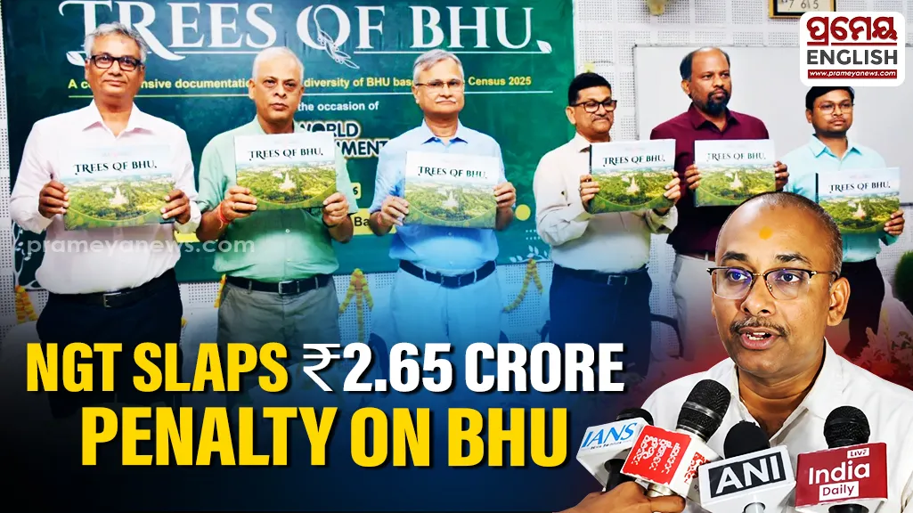 NGT directs recovery of Rs 2.65 crore from BHU over illegal felling of 33 trees