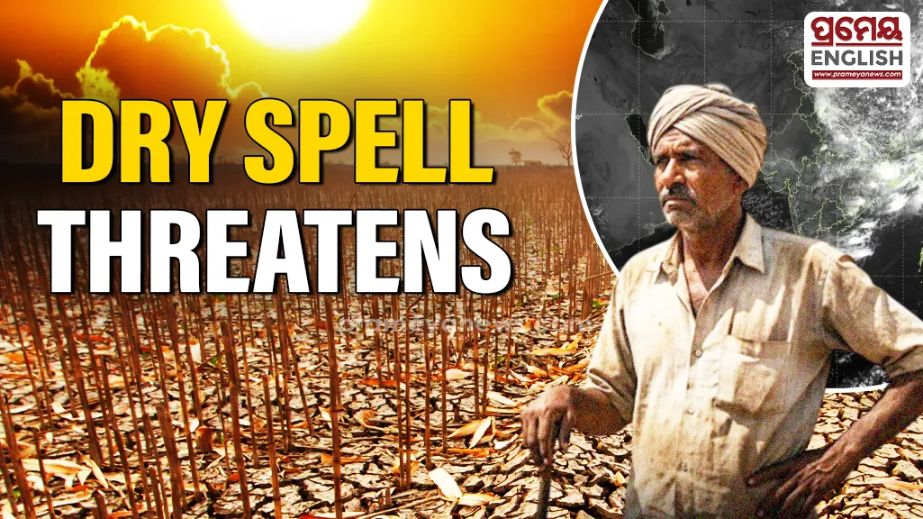Farmers Face Fresh Crop Risks As Dry Conditions Threaten Recent Indian Monsoon Surge