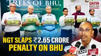NGT directs recovery of Rs 2.65 crore from BHU over illegal felling of 33 trees