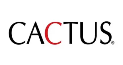 Mumbai firm Cactus wins major government contract for artificial intelligence tender system