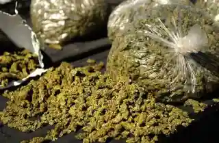 STF arrests Interstate Ganja trafficking kingpin; half-torn currency note used as secret code