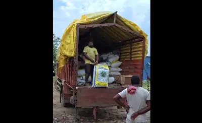 Malkangiri police seize ₹1 Crore worth of marijuana hidden in chicken transport truck; two arrested