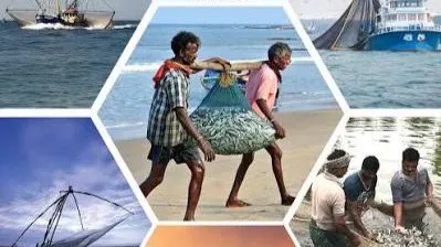 Odisha's coastal production, processing clusters set to gain as India-UK trade deal comes into effect


