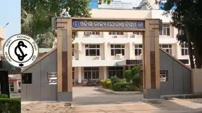 Odisha: OSCSCL Accounts Executive recruitment 2026: Applications open for 43 posts, salary Rs 92,000 per month- Here's how to apply