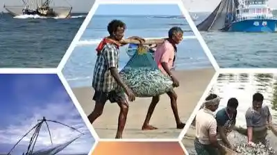 Odisha's coastal production, processing clusters set to gain as India-UK trade deal comes into effect