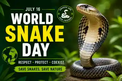 World Snake Day: What to do if a snake enters your home during monsoon