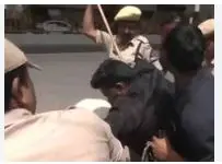 Head blow presupposes gravest offence: SC directs Delhi police to add 'Attempt to Murder' in Advocates' attack